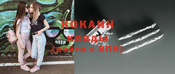 соль ск Алексин